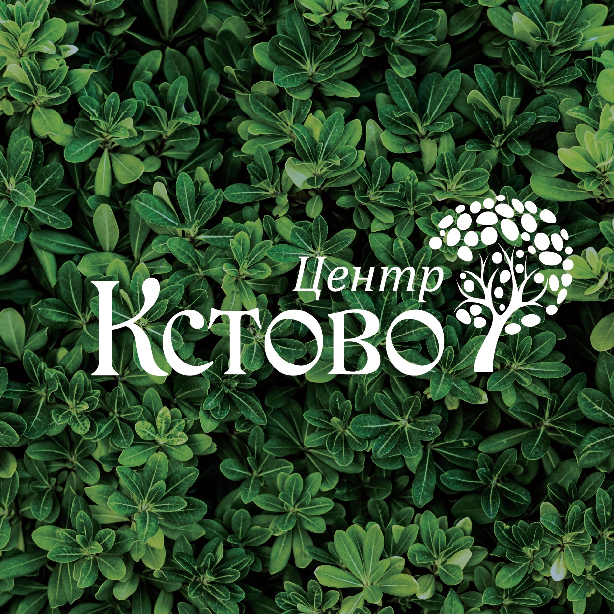 Центр отдыха и здоровья "Кстово"